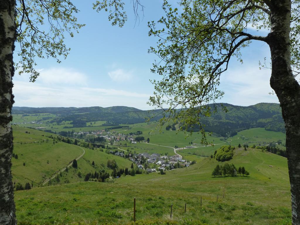 Wohnpark Schwarzwaldblick Bernau Lägenhet Exteriör bild