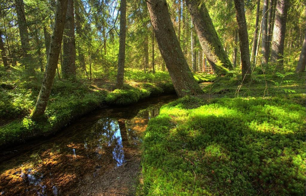Wohnpark Schwarzwaldblick Bernau Lägenhet Exteriör bild